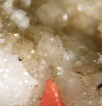 Horv�thite-Y - Poudrette quarry, Mont Saint-Hilaire, Qu�bec, Canada