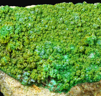 Pyromorphite, Gute Hoffnung Mine, K�lf, Alfeld, Lower Saxony, Germany