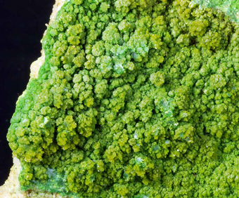 Pyromorphite, Gute Hoffnung Mine, K�lf, Alfeld, Lower Saxony, Germany