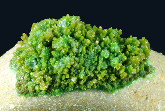 Pyromorphite, Gute Hoffnung Mine, K�lf, Alfeld, Lower Saxony, Germany