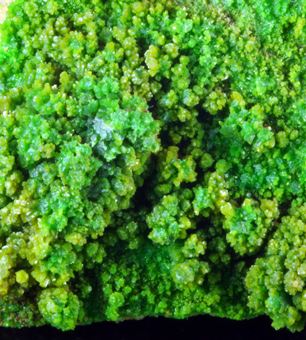 Pyromorphite, Gute Hoffnung Mine, K�lf, Alfeld, Lower Saxony, Germany