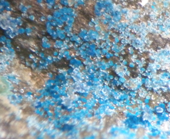 Connellite, Trawnamoe mine, Bonmahon, Ireland