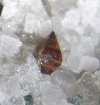 Anatase and Clinochlore var. Pennine - Premia, Ossola Valley, Italy