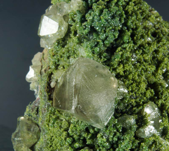 Cerussite on Mottramite - Tsumeb Mine, Tsumeb - Namibia