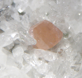 Monazite-Ce - Stura Valley, Piedmont, Italy