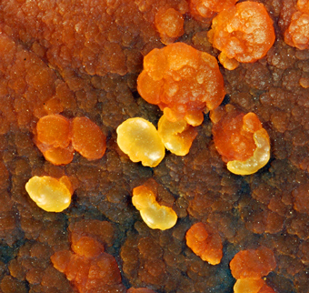 Aragonite - Trompia Valley, Lombardy, Italy