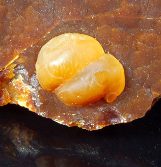 Aragonite - Trompia Valley, Lombardy, Italy