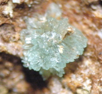 Leightonite, Salvadora mine, Caracoles, Antofagasta Region, Chile