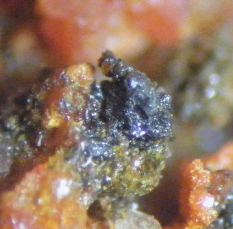 Iranite & Chromian Wulfenite - Santa Ana mine, Tocopilla District, Chile