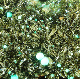 Libethenite, Chrysocolla, Los Azules mine, Atacama Region, Chile