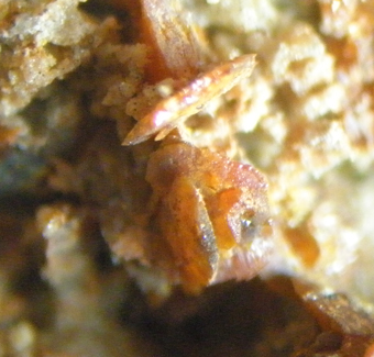 Schwartzembergite and seeligerite, Aguas Blancas, Antofagasta Region