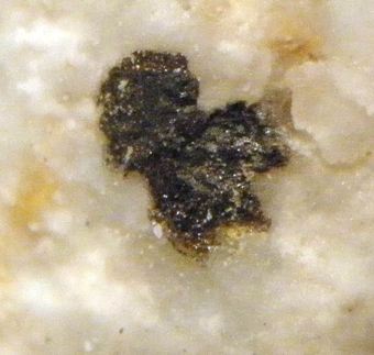 Domeykite, Jote mine, Antofagasta Region, Chile