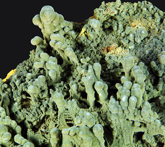 Mottramite - Ojuela mine, Mapim�, Durango, Mexico.