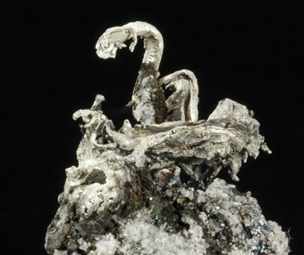 Silver and Acanthite - Uchucchacua mine, Peru