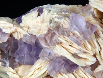 Fluorite and Baryte, Berbes mine, Asturias, Spain