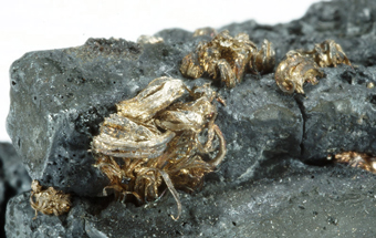 Silver on Acanthite, Hongda mine, Shanxi Province, China