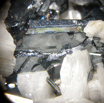 Ilmenite on albite, Signols quarry, Susa Valley, , Piedmont, Italy