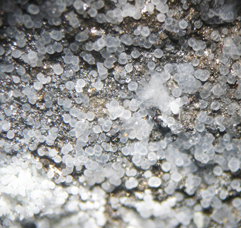 Dypingite and Canavesite (TL) - Brosso Mine, Brosso - Italy