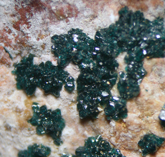 Herbertsmithite, San Francisco Mine, Antofagasta Region, Chile