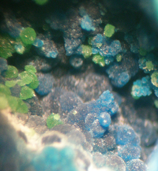 Arhbarite and Conichalcite, El Guanaco mine, Guanaco, Chile