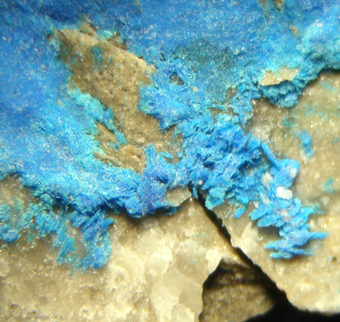 Juangodoyite (TL), Santa Rosa mine, Tarapac� Region, Chile