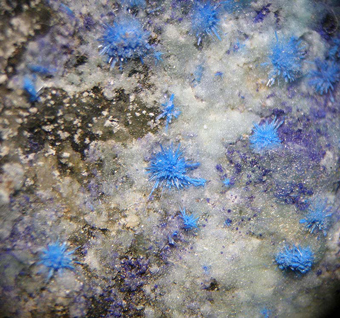 Chanabayite (TL) - Pabellon de Pica, Chanabaya, Tarapac� Region, Chile