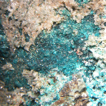 Paratacamite-(Mg) (TL), Anhydrite,Cuya, Los Camarones, Arica Province, Chile