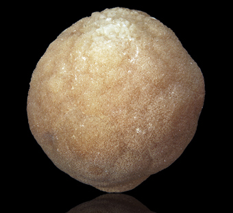 Calcite - Acquaresi mine, Iglesias, Sardinia, Italy