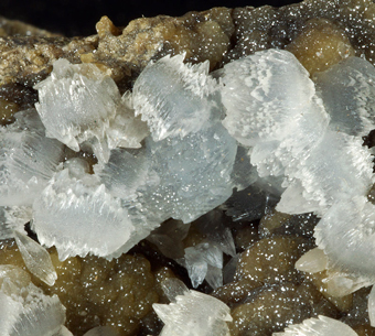 Calcite on Smithsonite, Pyrite, Chalcopyrite - Fenice Capanne mine, Grosseto, Tuscany, Italy