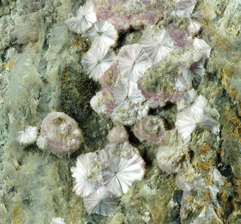 Dawsonite - Valle Benedetta, Tuscany, Italy