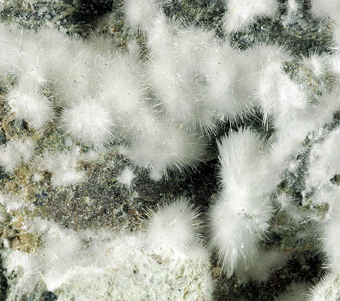 Artinite (TL) with coaligite - Rocca di Castellaccio, Malenco valley, Lombardy, Italy