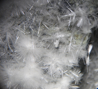 Artinite - Roccamurata Quarry, Valtarno, Parma - Emilia Romagna, Italy