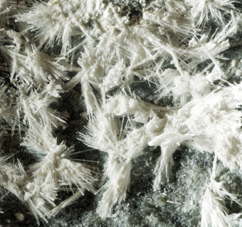 Artinite (TL) and Coalingite - Rocca di Castellaccio, Malenco valley, Lombardy, Italy