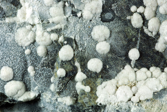 Hydromagnesite - Monte Castelli, Tuscany, Italy