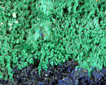 Azurite with Malachite on Fluorite - Santa Lucia mine, Fluminimaggiore, Sardinia, Italy