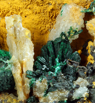 Malachite with Cerussite - Montevecchio mines, Arbus, Sardinia, Italy