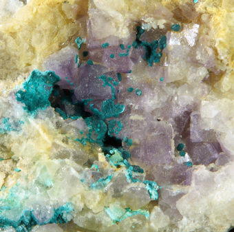 Rosasite with Fluorite- Is Murvonis, Domusnovas, Sardinia, Italy