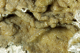 Smithsonite on Hydrozincite - Dossena mine, Bergamo, Lombardy, Italy