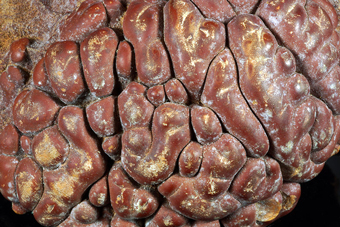 Aragonite var. �Sprudelstein� - Karlovy Vary Region, Bohemia, Czech Republic