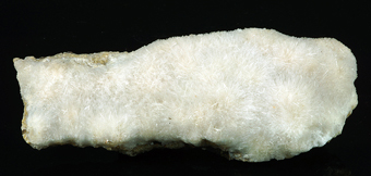 Aragonite - Giant's Causeway, Northern Ireland, UK