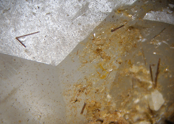Aragonite on Calcite with Siderite, Rutile and Muscovite - Curnera valley, Tavetsch, Grichun, Switzerland