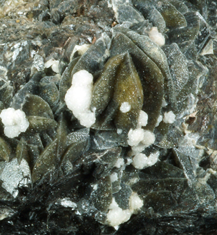 Siderite with Calcite - Bohutin mine, Př�bram, Bohemia, Czech Republic