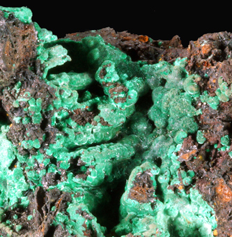 Malachite on limonite - Dognecea, Ocna de Fier, Caraş-Severin Co., Romania