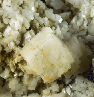 Dolomite on Siderite - Blackdene mine, Weardale, Cumberland, England, U.K.