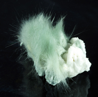 Byssolite - Miage Glacier, Aosta Valley, Italy