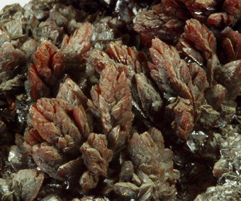 Descloizite - Berg Aukas mine, Grootfontein District - Namibia