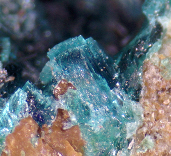 Guanacoite  (TL) and Conichalcite, El Guanaco mine, Guanaco, Chile