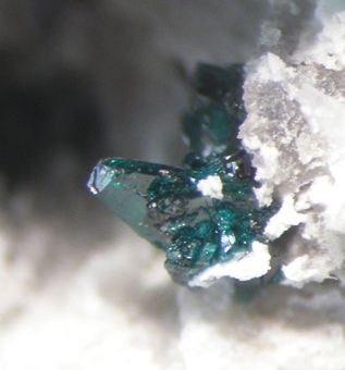 Lammerite, Lemanskiite, Lavendulan - El Guanaco mine, Taltal, Antofagasta Region, Chile