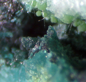 Gilmarite and Conichalcite, El Guanaco mine, Guanaco, Chile