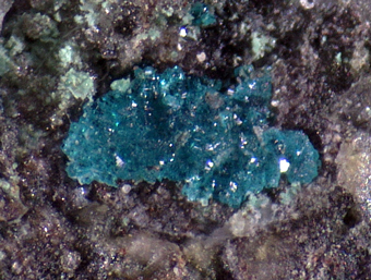 Haydeeite (TL) - Haydee mine, Salar Grande, Tarapac� , Chile